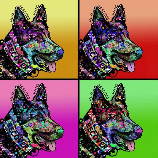 Image Only