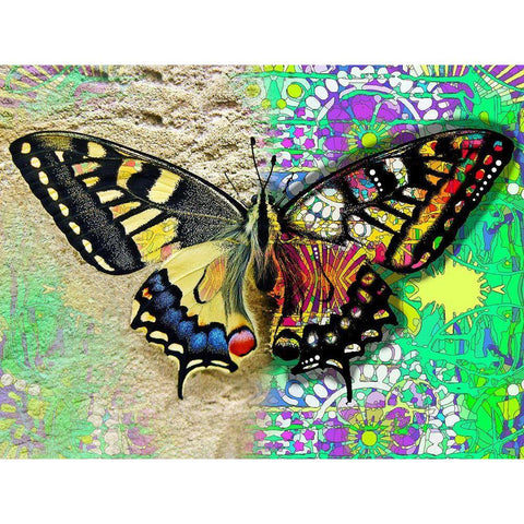 Exposed Butterfly Gold Ornate Wood Framed Art Print with Double Matting by Dean Russo Collection