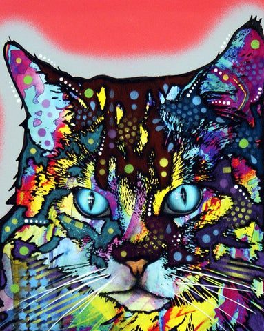 Maine Coon White Modern Wood Framed Art Print with Double Matting by Dean Russo Collection