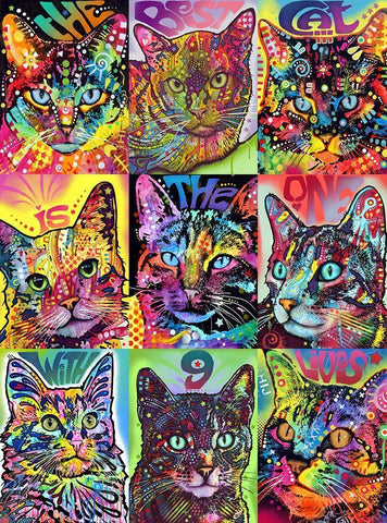 Nine Up of Cats White Modern Wood Framed Art Print with Double Matting by Dean Russo Collection