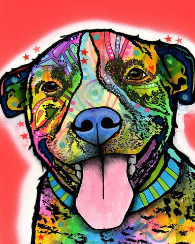 Smiling Pit Bull zoey White Modern Wood Framed Art Print with Double Matting by Dean Russo Collection