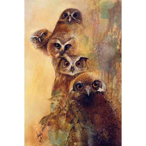 Owl Expressions Black Modern Wood Framed Art Print with Double Matting by Lund, Denton