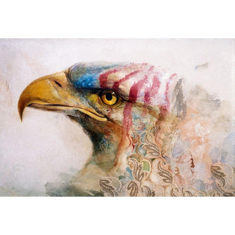 American Eagle Black Modern Wood Framed Art Print with Double Matting by Lund, Denton