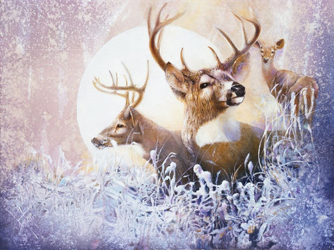 Snow Moon White Modern Wood Framed Art Print with Double Matting by Lund, Denton