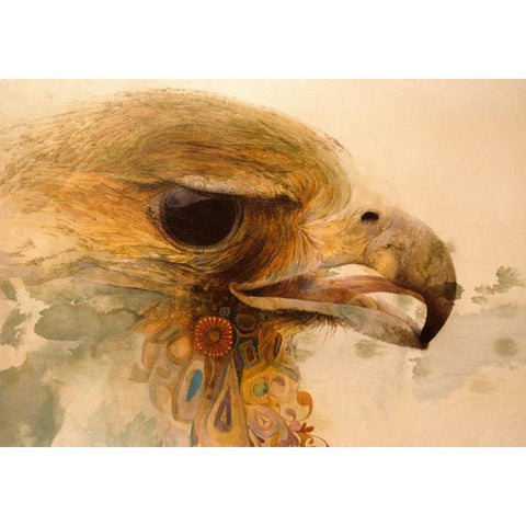 Decorative Hawk Black Modern Wood Framed Art Print with Double Matting by Lund, Denton