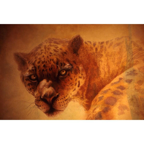 The Leopard Gold Ornate Wood Framed Art Print with Double Matting by Lund, Denton