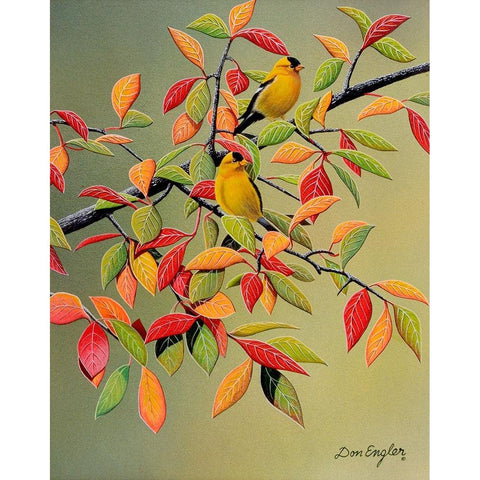 Backyard Goldfinches White Modern Wood Framed Art Print by Engler, Don