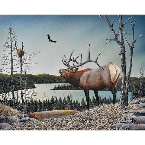 Bugling Elk Black Modern Wood Framed Art Print with Double Matting by Engler, Don