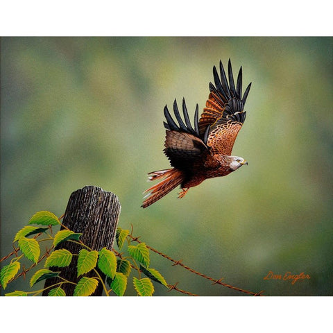 Red Kite White Modern Wood Framed Art Print by Engler, Don