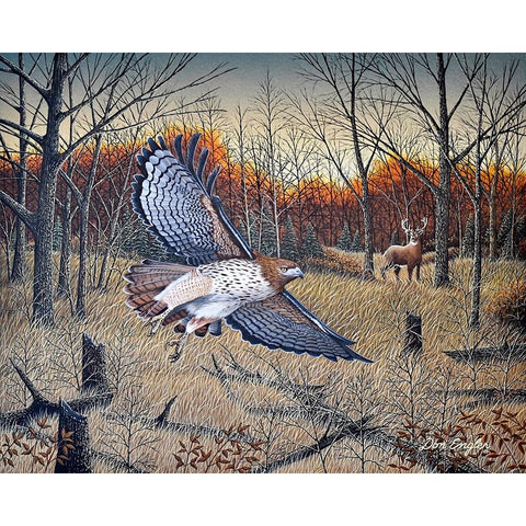 Red-Tailed Hawk White Modern Wood Framed Art Print by Engler, Don