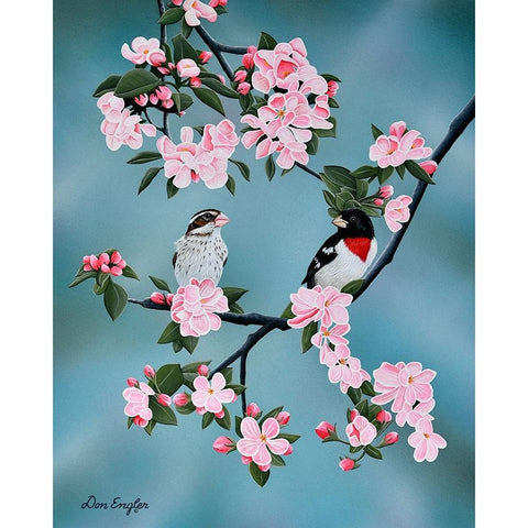 Red-breasted Grosbeaks White Modern Wood Framed Art Print by Engler, Don