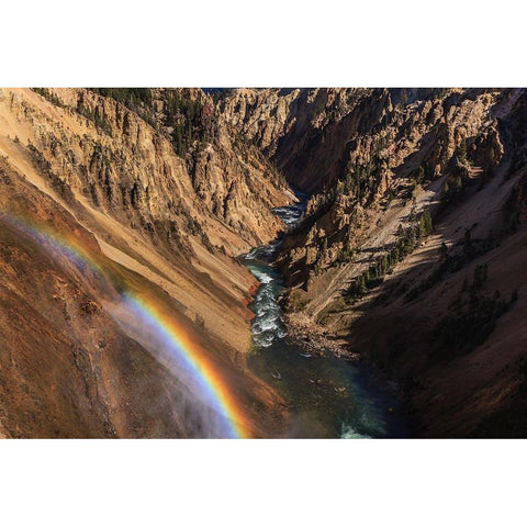 Brink of Lower Falls YNP Gold Ornate Wood Framed Art Print with Double Matting by Galloimages Online