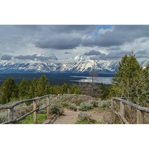 Jackson Lake Overlook GTNP Gold Ornate Wood Framed Art Print with Double Matting by Galloimages Online