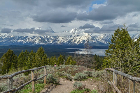 Jackson Lake Overlook GTNP White Modern Wood Framed Art Print with Double Matting by Galloimages Online