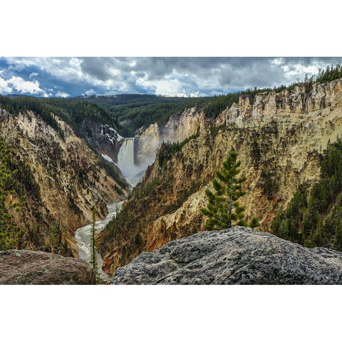 Lower Falls YNP Grand Canyon Gold Ornate Wood Framed Art Print with Double Matting by Galloimages Online