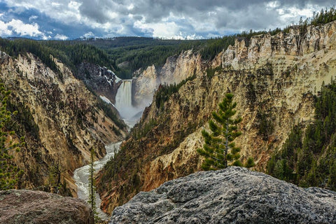 Lower Falls YNP Grand Canyon White Modern Wood Framed Art Print with Double Matting by Galloimages Online