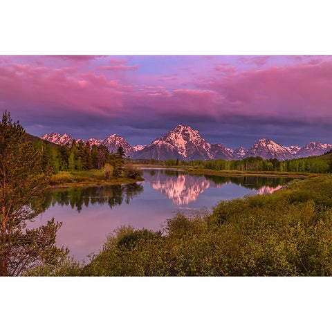 Magenta Sunrise  Oxbow Bend Gold Ornate Wood Framed Art Print with Double Matting by Galloimages Online