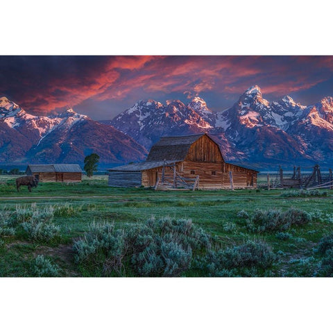 Mormon Row Barn Sunrise Gold Ornate Wood Framed Art Print with Double Matting by Galloimages Online