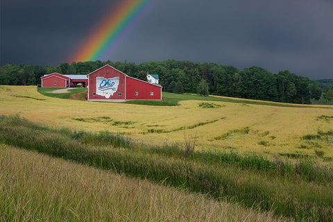 Ohio Farm Rainbow Black Ornate Wood Framed Art Print with Double Matting by Galloimages Online