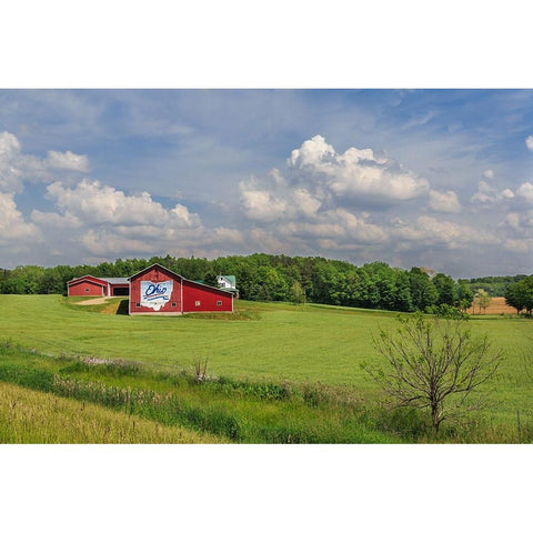 Ohio Farm Black Modern Wood Framed Art Print with Double Matting by Galloimages Online
