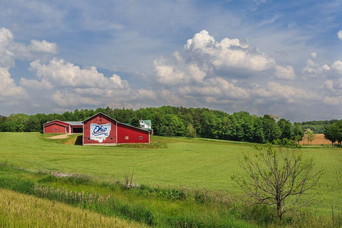Ohio Farm White Modern Wood Framed Art Print with Double Matting by Galloimages Online