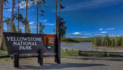 Yellowstone National Park Sign Black Ornate Wood Framed Art Print with Double Matting by Galloimages Online