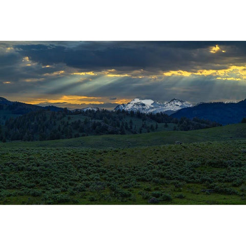 Lamar Valley Sunrise Black Modern Wood Framed Art Print with Double Matting by Galloimages Online