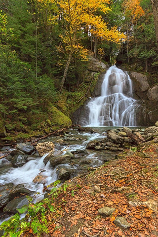 Moss Glen Falls in VT White Modern Wood Framed Art Print with Double Matting by Galloimages Online