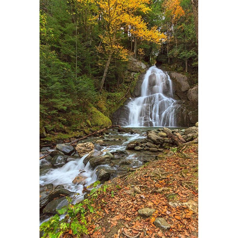 Moss Glen Falls in VT White Modern Wood Framed Art Print by Galloimages Online