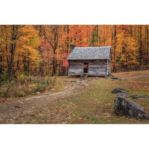 Alex Cole Cabin Black Modern Wood Framed Art Print with Double Matting by Galloimages Online