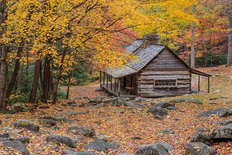 Bud Ogle Cabin Black Ornate Wood Framed Art Print with Double Matting by Galloimages Online