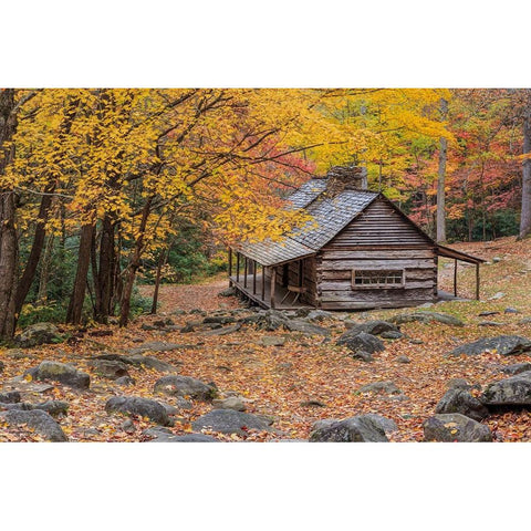 Bud Ogle Cabin White Modern Wood Framed Art Print by Galloimages Online