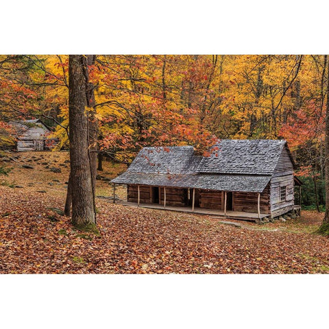 Bud Ogle Place With Barn Comp 2 Gold Ornate Wood Framed Art Print with Double Matting by Galloimages Online