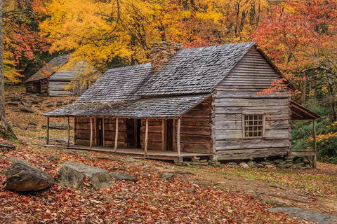 Bud Ogle Place With Barn Black Ornate Wood Framed Art Print with Double Matting by Galloimages Online