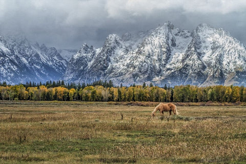 Fine Dining In The Tetons White Modern Wood Framed Art Print with Double Matting by Galloimages Online