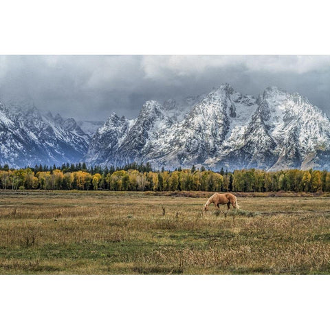 Fine Dining In The Tetons Gold Ornate Wood Framed Art Print with Double Matting by Galloimages Online