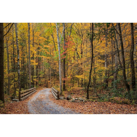 Greenbrier Bridge Path Gold Ornate Wood Framed Art Print with Double Matting by Galloimages Online