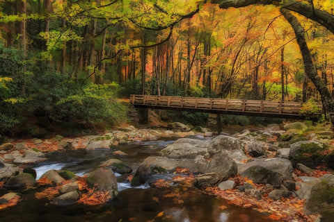 Greenbrier Bridge With Stream Watercolor White Modern Wood Framed Art Print with Double Matting by Galloimages Online