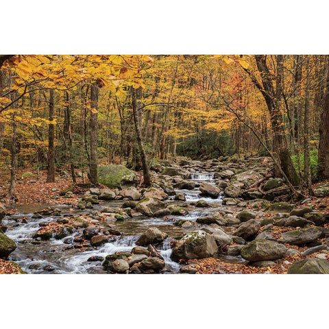 Greenbrier Cascade Gold Ornate Wood Framed Art Print with Double Matting by Galloimages Online