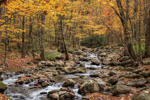 Greenbrier Cascade White Modern Wood Framed Art Print with Double Matting by Galloimages Online