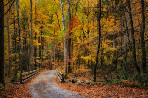 Greenbrier Path Black Ornate Wood Framed Art Print with Double Matting by Galloimages Online