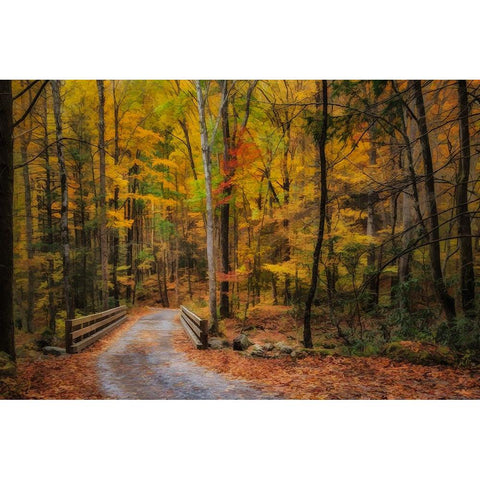 Greenbrier Path Black Modern Wood Framed Art Print with Double Matting by Galloimages Online