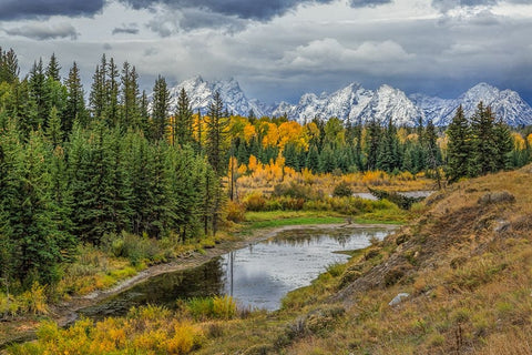 Gtnp Fall Color With Mountains Black Ornate Wood Framed Art Print with Double Matting by Galloimages Online