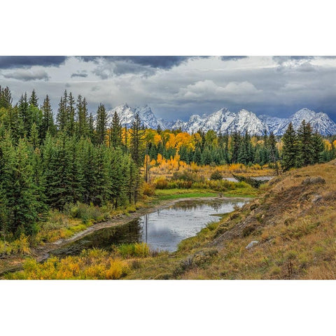 Gtnp Fall Color With Mountains Gold Ornate Wood Framed Art Print with Double Matting by Galloimages Online