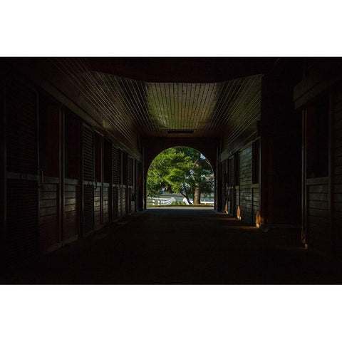 Horse Farm Barn (Inside And Out) Gold Ornate Wood Framed Art Print with Double Matting by Galloimages Online