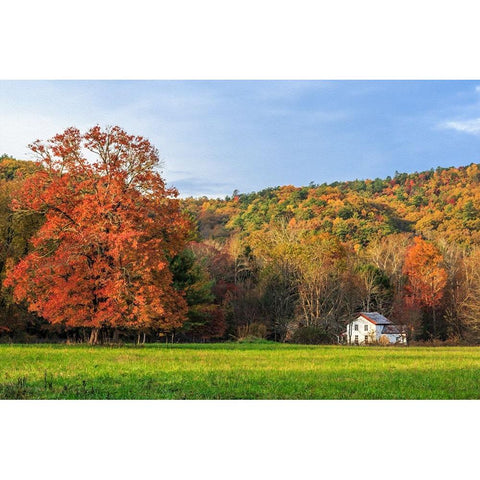 Little House In The Fall Gold Ornate Wood Framed Art Print with Double Matting by Galloimages Online