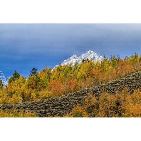 Mountain Fall Color Gold Ornate Wood Framed Art Print with Double Matting by Galloimages Online