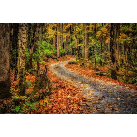 Path In Greenbrier Watercolor White Modern Wood Framed Art Print by Galloimages Online