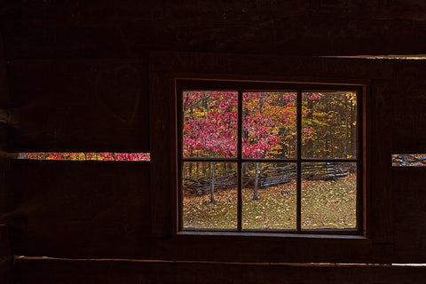Roaring Fork Cabin Window White Modern Wood Framed Art Print with Double Matting by Galloimages Online