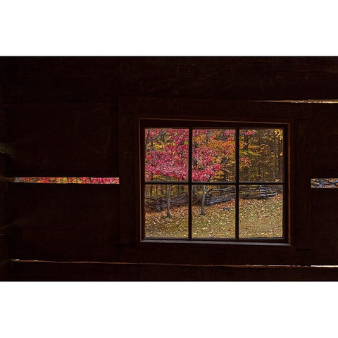 Roaring Fork Cabin Window Black Modern Wood Framed Art Print by Galloimages Online